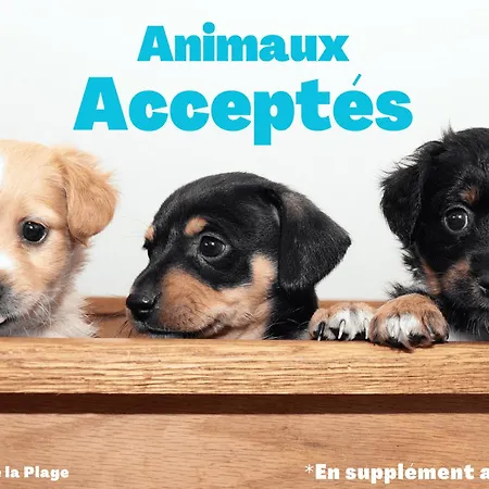 4 Pers, Terrasse, Parking, Animaux Admis, A 50m De La - Fr-1-323-449